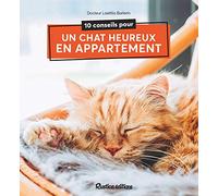 10 conseils pour un chat heureux de vivre en appartement