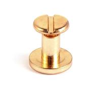 10 ensembles de Rivets à ongles en forme cœur, bricolage artisanat, vis laiton, bouton tissu, décoration artisanale cuir, vêtement Scrapbooking(Gold-8mm)