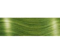 10 Extensions cheveux Kératine - qualité professionnelle - 60cm - fantaisie - acid green
