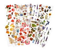 10 feuilles Autocollant de transfert à frotter Autocollants Scrapbook Autocollants de fleur Autocollant de plante de décoration pour Diary Album Journals DIY Arts and Crafts (Garden)