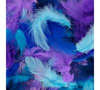 Artemio Plumes, no, normal