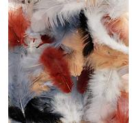 Artemio Plumes colorées Natural – 10 g