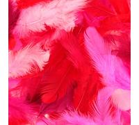 10 g Plumes Colorées Red