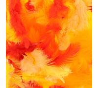 Artemio Plumes, no, normal