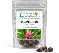 10 graines à semer - Le Grenier d'Abondance - BANANIER ROSE - Musa Velutina