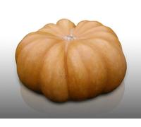 10 graines à semer - Le Grenier d'Abondance - COURGE MUSQUEE DE PROVENCE - Curcurbita Maxima