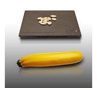 10 graines à semer - Le Grenier d'Abondance - COURGETTE Gold Rush Hybride F1 - Cucurbita Pepo