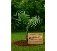 10 graines à semer - Le Grenier d'Abondance - Palmier à couronne gracile - Dypsis pinnatifrons