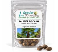 10 graines à semer - Le Grenier d'Abondance - PALMIER DE CHINE - Trachycarpus Fortunei
