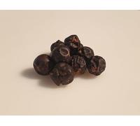 10 graines à semer - Le Grenier d'Abondance - PALMIER NAIN - Chamaedorea Seifrizii