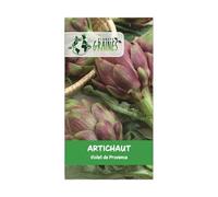 10 graines d' artichaut violet de provence/artichoke purple