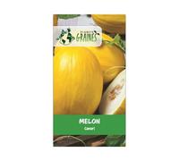 10 graines de melon canari - jaune - recolte abondante et savoureuse