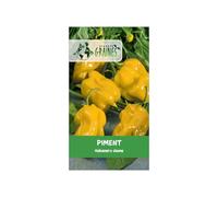 10 graines de piment habanero jaune (capsicum chinense) piment antillais fort et fruité