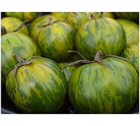 10 graines de tomate Heirloom GREEN ZEBRA délicieuse couleur unique fraîche Belle
