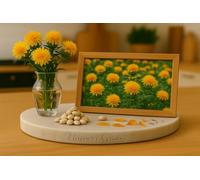 10 Graines SAFRAN DES TEINTURIERS - Carthamus tinctorius - Safran des teinturiers - Safflower - Fleur Jardin - 413