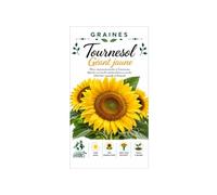 10 graines tournesol jaune géant - Sunflower Single Yellow Giant - taille 3 à 5 mètres