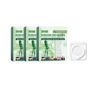 10 in 1 Berberine NAD+ Moringa Body Patches | Natural Weight Management Slimming Patch, Supports Metabolism, Digestion & Energy for Men and Women, 10 Pieces