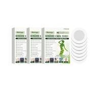 10-in-1 Nano Microneedle Slimming Patch, Moringa x Berberine Natural Patch | Easy Apply Invisible Under Clothing for Men Women
