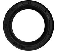 10 Joints Spi Grand Moteur pour Trottinette Dualtron Noir