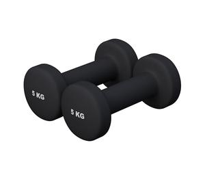 10 kg (2x5,0) Haltère Fitness en Vinyle