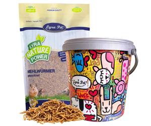 10 litres de vers de farine Lyra Pet® dans un seau design