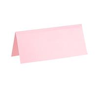 Santex Marque-places rectangle 10 en carton – rose clair – Taille unique