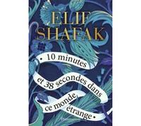 10 minutes et 38 secondes dans ce monde étrange Elif Shafak (Auteur), Dominique Goy-Blanquet (Traduction)