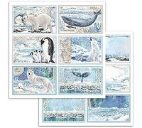10 Pack Stamperia Double-Sided Cardstock 12"X12"-Cards, Arctic Antarctic -SBB732