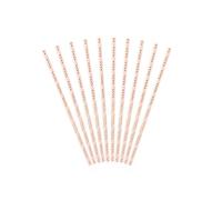10 PAILLES CARTON RAYÉES CANDY BAR ROSE 19.5CM OR