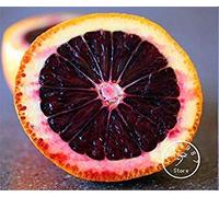 10 Parti/Sacchetto Fresh Rare Moro Blood Orange Arancia sanguigna Red Semi di Frutta
