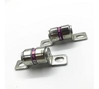 10 PCS/LOT Fusible En Céramique RGS11 10A 16A 20A 25A 30A 32A 35A 40A 50A 63A 75A 80A 100A 125A 150A 160A 250V Câblage de protection (Size : 100A)