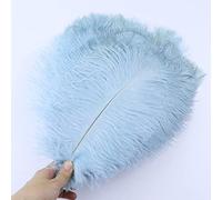 10 pcs/lot plumes d'autruche blanches naturelles mariage d¨¦coration de la maison 15-20 cm/25-30 cm/30-35 cm plumes d'autruche artisanat-bleu clair, 25-30 cm