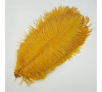 10 Pcs/Lot Plumes d'Autruche pour Artisanat Blanc Grande Plume d'Autruche au Milieu de la Table Centres de Table Décoration Attrape-Rêve-Or,25-30cm 10-12inch