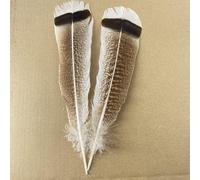 10 Pcs/Lot Véritables Plumes D'aigle Naturelles pour Décoration Artisanat Dinde Faisan Oiseau Hibou Plume Décor Plumes Accessoires Carnaval-25-30cm 10-12Inch4,10Pcs