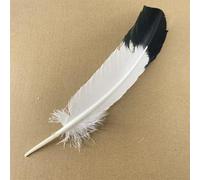 10 Pcs/Lot véritables plumes d'aigle naturelles pour la décoration artisanat dinde faisan oiseau hibou plume décor plumes accessoires carnaval-25-30 cm 10-12 pouces, 10 pièces