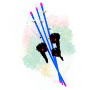 10 pcs. Lyra Pet® Canne à pêche pour chats avec souris noir