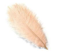 10 pièces 15-60 cm grandes plumes d'autruche blanches plumes d'autruche Carnaval centres de table accessoires de fête décoration-Champagne-30-35 cm