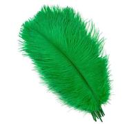 10 pièces 15-60 cm grandes plumes d'autruche blanches plumes d'autruche Carnaval centres de table accessoires de fête décoration-vert herbe-25-30 cm