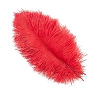 10 pièces 15-60 cm grandes plumes d'autruche blanches plumes d'autruche Carnaval centres de table accessoires de fête décoration-rouge-30-35 cm