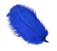 10 pièces 15-60 cm grandes plumes d'autruche blanches plumes d'autruche plumes de carnaval centres de table accessoires de fête décoration-bleu royal-25-30 cm