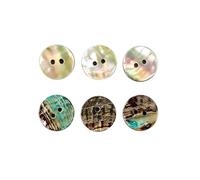 10 pièces 17/20/25mm 2 trous boutons en coquillage d'ormeau irisé pour scrapbooking, couture de vêtements décoratifs