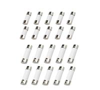 10 pièces 5 * 20mm 6 * 30mm fusibles à Tube soufflage rapide 250V 0.5A 1A 2A 3A 4A 6A 6. 8A 10A 15A 20A 25A 30A AMP Fusible en céramique(1A,5x20mm,10PCS)