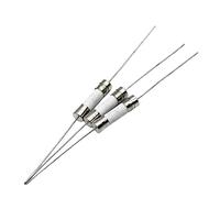 10 pièces 5 * 20mm fusible en céramique à rupture rapide fusible à fusion lente avec une broche 5x20mm 250V 0.5A 1A 2A 3A 4A 5A 6A 7A 8A 10A 12A 15A 20A 25A Câblage de protection (Color : 2.5, Size :