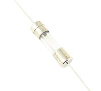 10 pièces 5x20mm fusible en verre à soufflage lent Tube de plomb axial T 1A 2A 3A 3.15A 4A 5A 6.3A 8A 10A 15A 250V 5mm x 20mm 5 * 20mm fusible Câblage de protection (Size : 5A)