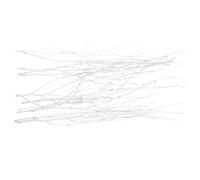 10 Pièces Brindilles Blanches en Bois, Branches Décoratives | Texture Naturelle, Usage pour Bouquets et Bases de Couronne, Décor Stage Extérieur, Floristes Photographes
