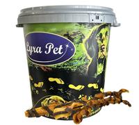 10 pièces de bâtonnets de peau de tête de bœuf Lyra Pet® XXL avec tripe, d'environ 70 cm, dans un fût de 30 litres