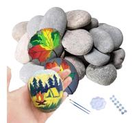 10 Pièces Galets Plats à Peindre, Pierres Naturelles à Peindre 5-8 cm, avec Boîte de Peinture Vide 6 Compartiments, Palette de Mélange et 2 Pinceaux, pour DIY Créatif, Décoration de Jardin et Aquarium
