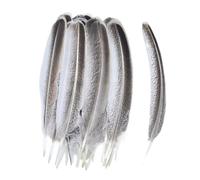 10 pièces/lot plumes d'aigle naturelles for artisanat plumes décoration Carnaval Plumas Carnaval plumes décoration plume décor bricolage