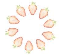 10 Pièces Marque-page Acrylique Tranche de Fraise Kawaii, Rouge