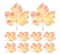 10 Pièces Marque-page Feuille D’érable en Acrylique Rouge